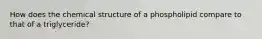 How does the chemical structure of a phospholipid compare to that of a triglyceride?