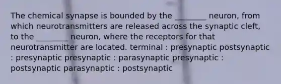 The chemical synapse is bounded by the ________ neuron, from which neurotransmitters are released across the synaptic cleft, to the ________ neuron, where the receptors for that neurotransmitter are located. terminal : presynaptic postsynaptic : presynaptic presynaptic : parasynaptic presynaptic : postsynaptic parasynaptic : postsynaptic