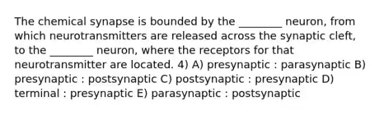 The chemical synapse is bounded by the ________ neuron, from which neurotransmitters are released across the synaptic cleft, to the ________ neuron, where the receptors for that neurotransmitter are located. 4) A) presynaptic : parasynaptic B) presynaptic : postsynaptic C) postsynaptic : presynaptic D) terminal : presynaptic E) parasynaptic : postsynaptic