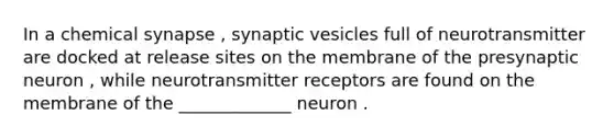 In a chemical synapse , synaptic vesicles full of neurotransmitter are docked at release sites on the membrane of the presynaptic neuron , while neurotransmitter receptors are found on the membrane of the _____________ neuron .