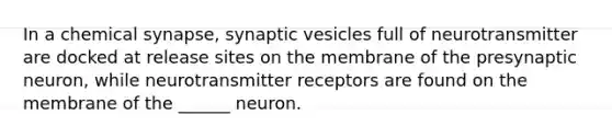 In a chemical synapse, synaptic vesicles full of neurotransmitter are docked at release sites on the membrane of the presynaptic neuron, while neurotransmitter receptors are found on the membrane of the ______ neuron.