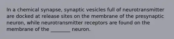 In a chemical synapse, synaptic vesicles full of neurotransmitter are docked at release sites on the membrane of the presynaptic neuron, while neurotransmitter receptors are found on the membrane of the ________ neuron.