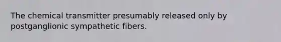 The chemical transmitter presumably released only by postganglionic sympathetic fibers.