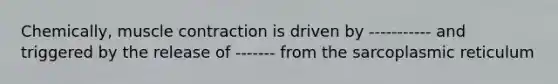 Chemically, muscle contraction is driven by ----------- and triggered by the release of ------- from the sarcoplasmic reticulum