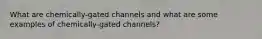 What are chemically-gated channels and what are some examples of chemically-gated channels?