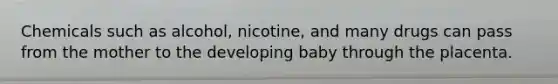 Chemicals such as alcohol, nicotine, and many drugs can pass from the mother to the developing baby through the placenta.