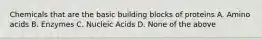 Chemicals that are the basic building blocks of proteins A. Amino acids B. Enzymes C. Nucleic Acids D. None of the above