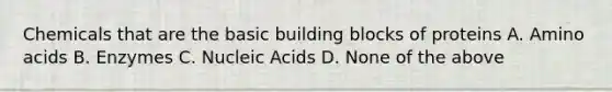 Chemicals that are the basic building blocks of proteins A. Amino acids B. Enzymes C. Nucleic Acids D. None of the above