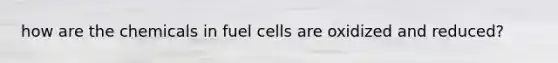 how are the chemicals in fuel cells are oxidized and reduced?