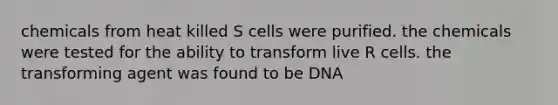 chemicals from heat killed S cells were purified. the chemicals were tested for the ability to transform live R cells. the transforming agent was found to be DNA