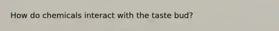 How do chemicals interact with the taste bud?