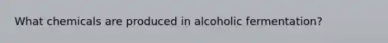 What chemicals are produced in alcoholic fermentation?