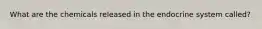 What are the chemicals released in the endocrine system called?