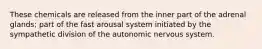 These chemicals are released from the inner part of the adrenal glands; part of the fast arousal system initiated by the sympathetic division of the autonomic nervous system.