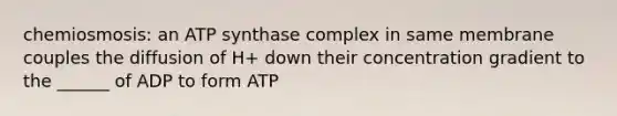 chemiosmosis: an ATP synthase complex in same membrane couples the diffusion of H+ down their concentration gradient to the ______ of ADP to form ATP