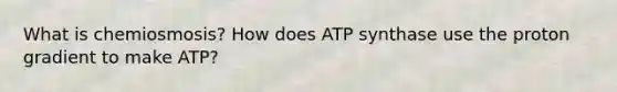 What is chemiosmosis? How does ATP synthase use the proton gradient to make ATP?