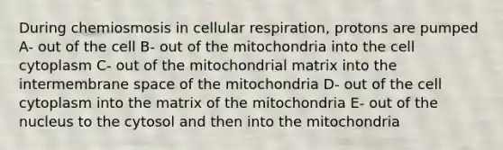 During chemiosmosis in cellular respiration, protons are pumped A- out of the cell B- out of the mitochondria into the cell cytoplasm C- out of the mitochondrial matrix into the intermembrane space of the mitochondria D- out of the cell cytoplasm into the matrix of the mitochondria E- out of the nucleus to the cytosol and then into the mitochondria