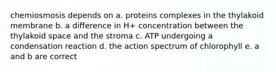 chemiosmosis depends on a. proteins complexes in the thylakoid membrane b. a difference in H+ concentration between the thylakoid space and the stroma c. ATP undergoing a condensation reaction d. the action spectrum of chlorophyll e. a and b are correct