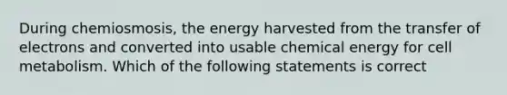 During chemiosmosis, the energy harvested from the transfer of electrons and converted into usable chemical energy for cell metabolism. Which of the following statements is correct