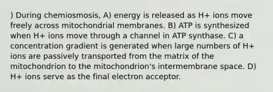 ) During chemiosmosis, A) energy is released as H+ ions move freely across mitochondrial membranes. B) ATP is synthesized when H+ ions move through a channel in ATP synthase. C) a concentration gradient is generated when large numbers of H+ ions are passively transported from the matrix of the mitochondrion to the mitochondrion's intermembrane space. D) H+ ions serve as the final electron acceptor.