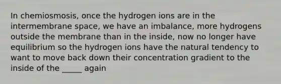 In chemiosmosis, once the hydrogen ions are in the intermembrane space, we have an imbalance, more hydrogens outside the membrane than in the inside, now no longer have equilibrium so the hydrogen ions have the natural tendency to want to move back down their concentration gradient to the inside of the _____ again