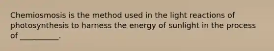 Chemiosmosis is the method used in the light reactions of photosynthesis to harness the energy of sunlight in the process of __________.