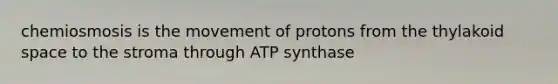 chemiosmosis is the movement of protons from the thylakoid space to the stroma through ATP synthase