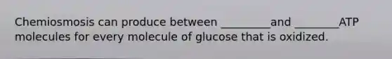 Chemiosmosis can produce between _________and ________ATP molecules for every molecule of glucose that is oxidized.