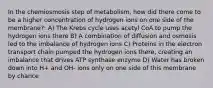 In the chemiosmosis step of metabolism, how did there come to be a higher concentration of hydrogen ions on one side of the membrane?: A) The Krebs cycle uses acetyl CoA to pump the hydrogen ions there B) A combination of diffusion and osmosis led to the imbalance of hydrogen ions C) Proteins in the electron transport chain pumped the hydrogen ions there, creating an imbalance that drives ATP synthase enzyme D) Water has broken down into H+ and OH- ions only on one side of this membrane by chance