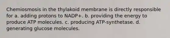 Chemiosmosis in the thylakoid membrane is directly responsible for a. adding protons to NADP+. b. providing the energy to produce ATP molecules. c. producing ATP-synthetase. d. generating glucose molecules.