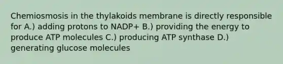 Chemiosmosis in the thylakoids membrane is directly responsible for A.) adding protons to NADP+ B.) providing the energy to produce ATP molecules C.) producing ATP synthase D.) generating glucose molecules