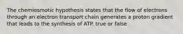 The chemiosmotic hypothesis states that the flow of electrons through an electron transport chain generates a proton gradient that leads to the synthesis of ATP. true or false