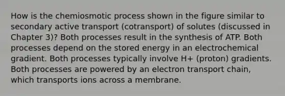 How is the chemiosmotic process shown in the figure similar to secondary active transport (cotransport) of solutes (discussed in Chapter 3)? Both processes result in the synthesis of ATP. Both processes depend on the stored energy in an electrochemical gradient. Both processes typically involve H+ (proton) gradients. Both processes are powered by an electron transport chain, which transports ions across a membrane.