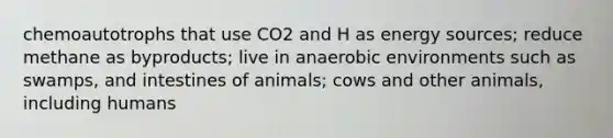 chemoautotrophs that use CO2 and H as energy sources; reduce methane as byproducts; live in anaerobic environments such as swamps, and intestines of animals; cows and other animals, including humans