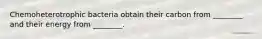 Chemoheterotrophic bacteria obtain their carbon from ________ and their energy from ________.