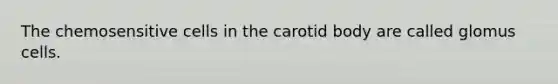 The chemosensitive cells in the carotid body are called glomus cells.