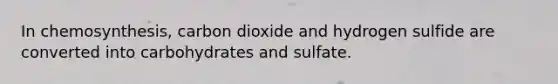 In chemosynthesis, carbon dioxide and hydrogen sulfide are converted into carbohydrates and sulfate.