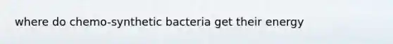 where do chemo-synthetic bacteria get their energy