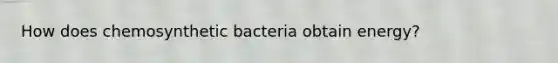 How does chemosynthetic bacteria obtain energy?