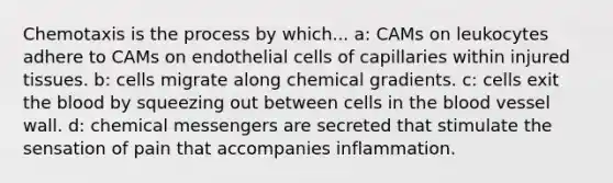 Chemotaxis is the process by which... a: CAMs on leukocytes adhere to CAMs on endothelial cells of capillaries within injured tissues. b: cells migrate along chemical gradients. c: cells exit the blood by squeezing out between cells in the blood vessel wall. d: chemical messengers are secreted that stimulate the sensation of pain that accompanies inflammation.