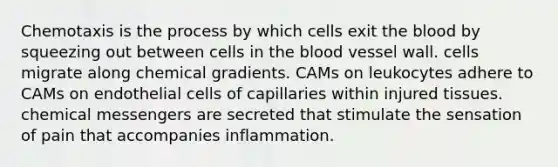 Chemotaxis is the process by which cells exit the blood by squeezing out between cells in the blood vessel wall. cells migrate along chemical gradients. CAMs on leukocytes adhere to CAMs on endothelial cells of capillaries within injured tissues. chemical messengers are secreted that stimulate the sensation of pain that accompanies inflammation.