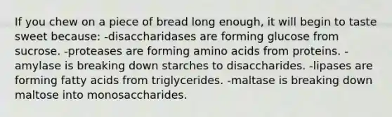 If you chew on a piece of bread long enough, it will begin to taste sweet because: -disaccharidases are forming glucose from sucrose. -proteases are forming amino acids from proteins. -amylase is breaking down starches to disaccharides. -lipases are forming fatty acids from triglycerides. -maltase is breaking down maltose into monosaccharides.