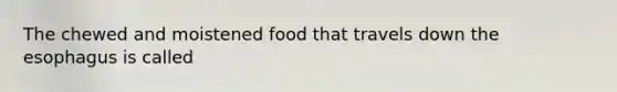 The chewed and moistened food that travels down the esophagus is called