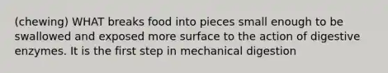 (chewing) WHAT breaks food into pieces small enough to be swallowed and exposed more surface to the action of digestive enzymes. It is the first step in mechanical digestion