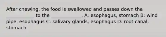 After chewing, the food is swallowed and passes down the ____________ to the _____________. A: esophagus, stomach B: wind pipe, esophagus C: salivary glands, esophagus D: root canal, stomach