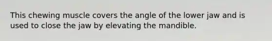 This chewing muscle covers the angle of the lower jaw and is used to close the jaw by elevating the mandible.