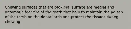 Chewing surfaces that are proximal surface are medial and antomatic fear tire of the teeth that help to maintain the poison of the teeth on the dental arch and protect the tissues during chewing