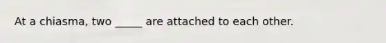 At a chiasma, two _____ are attached to each other.