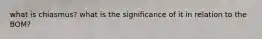 what is chiasmus? what is the significance of it in relation to the BOM?