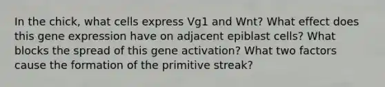 In the chick, what cells express Vg1 and Wnt? What effect does this gene expression have on adjacent epiblast cells? What blocks the spread of this gene activation? What two factors cause the formation of the primitive streak?